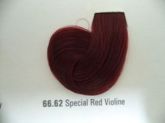 Coloração PRO 66.62 Special Red Violine (60gr)