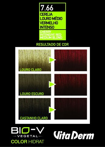 Coloração Color Hidrat Louro Médio Vermelho Intenso 7.66