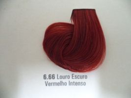 Coloração PRO 6.66 Louro Escuro Vermelho Intenso (60gr)