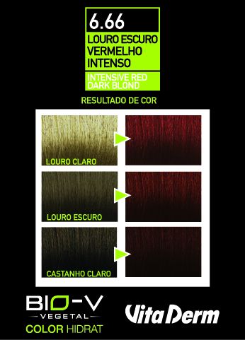 Coloração Color Hidrat Louro Escuro Vermelho Intenso 6.66