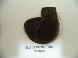 Coloração PRO 5.3 Castanho Claro Dourado (60gr)