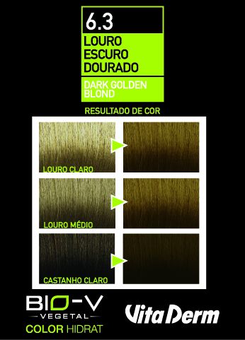 Coloração Color Hidrat Louro Escuro Dourado 6.3